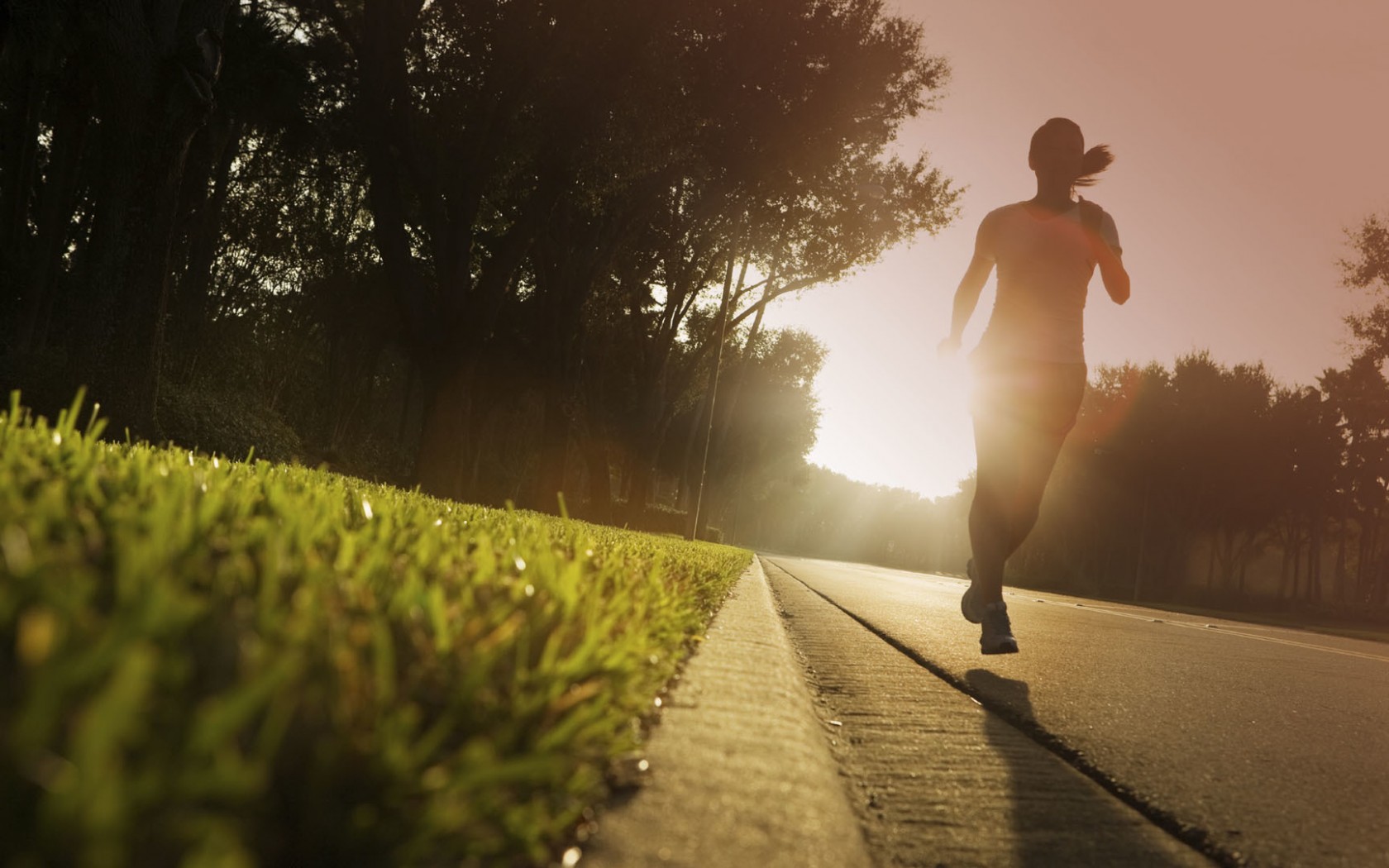 Your Guide to a Healthier Body